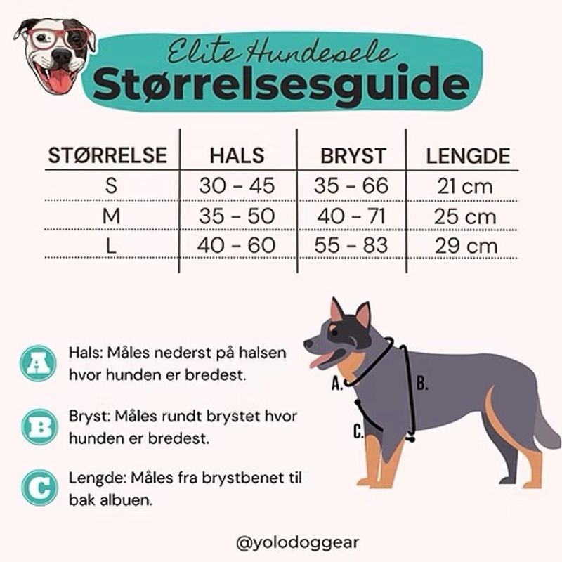 ELITE HUNDESELE - URBAN