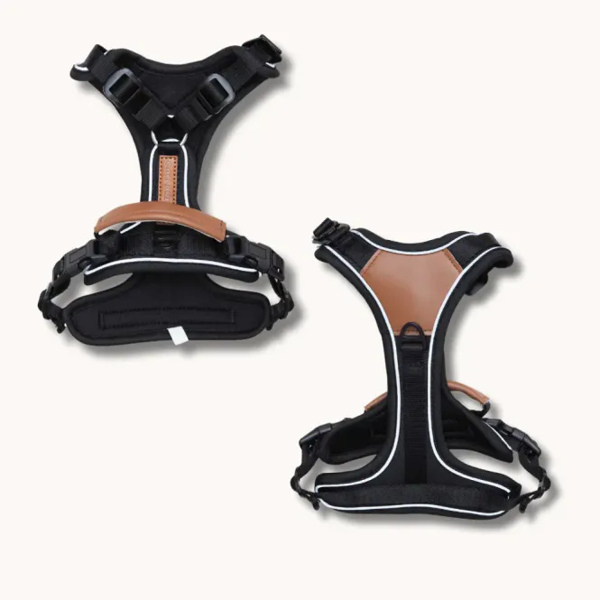 Hovedbilde TARRAIN TRAILS PRO HUNDESELE -  Black